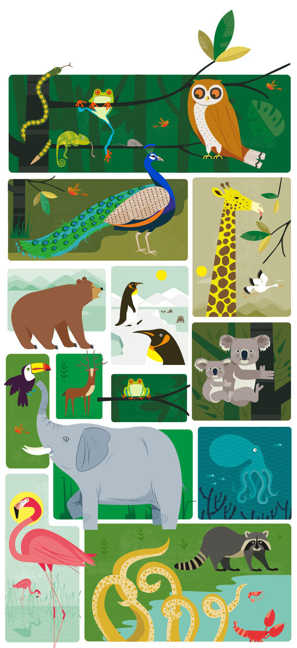 Poster of animals